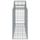 NNEVL Arched Gabion Baskets 3 pcs 200x50x80/100 cm Galvanised Iron